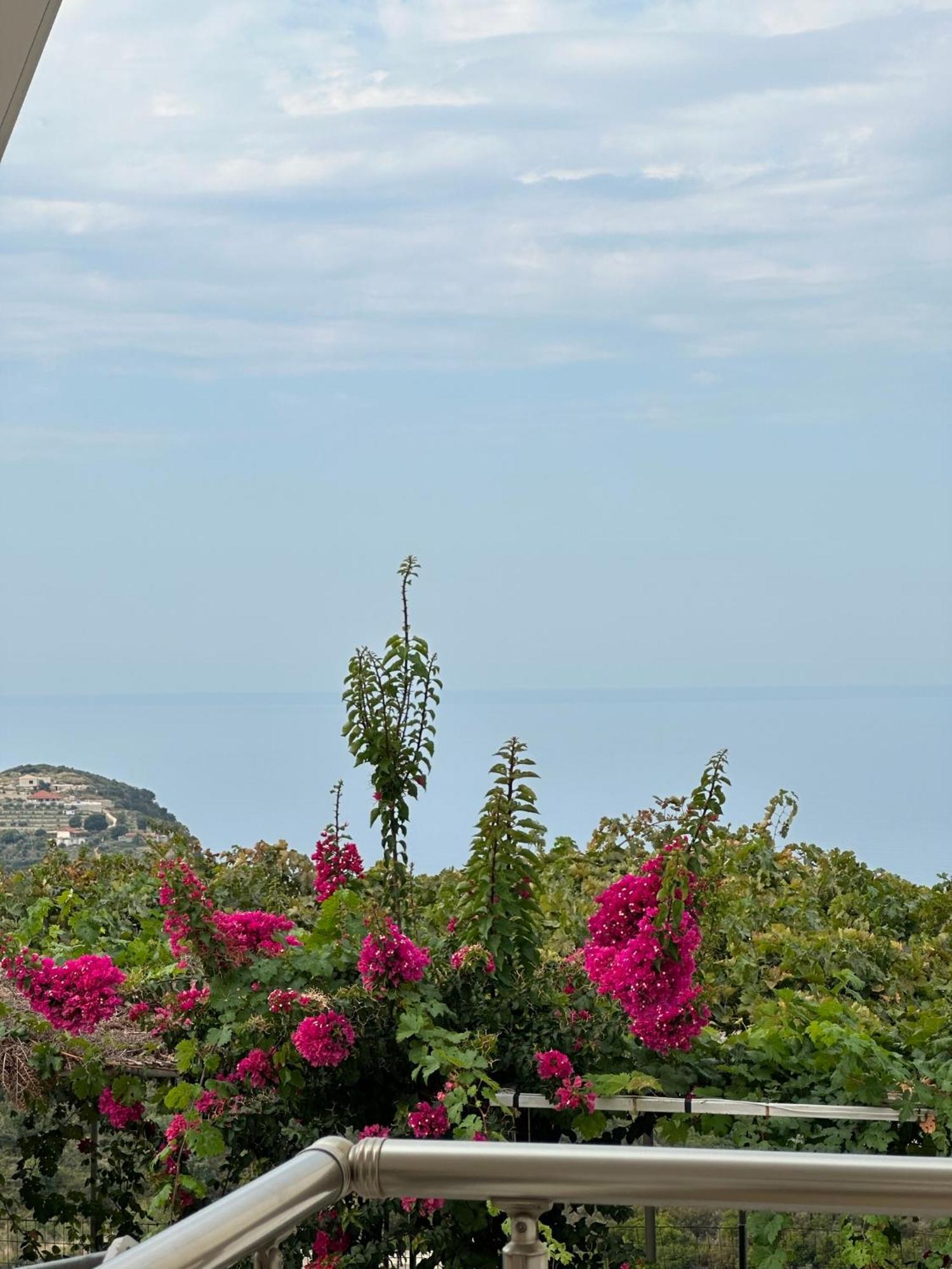 Elea Guesthouse Himarë Exterior foto